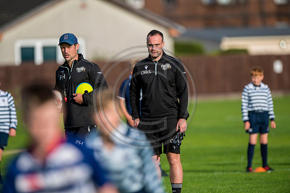 Apex Rugby Academy