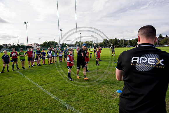 Apex Rugby Academy