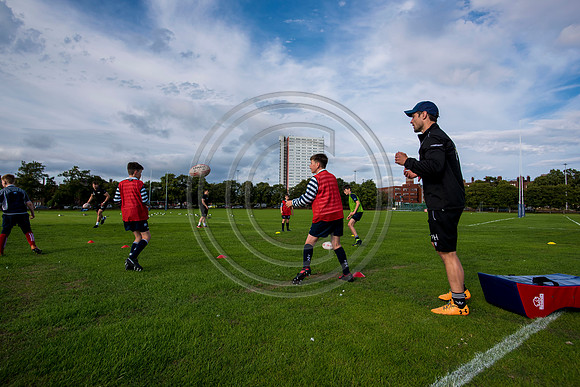Apex Rugby Academy