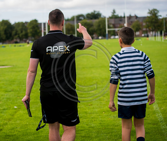 Apex Rugby Academy