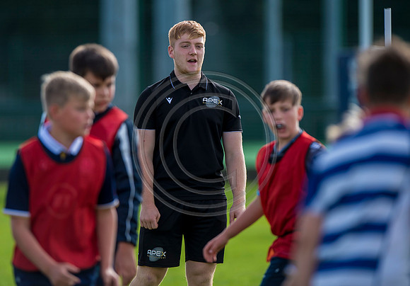 Apex Rugby Academy