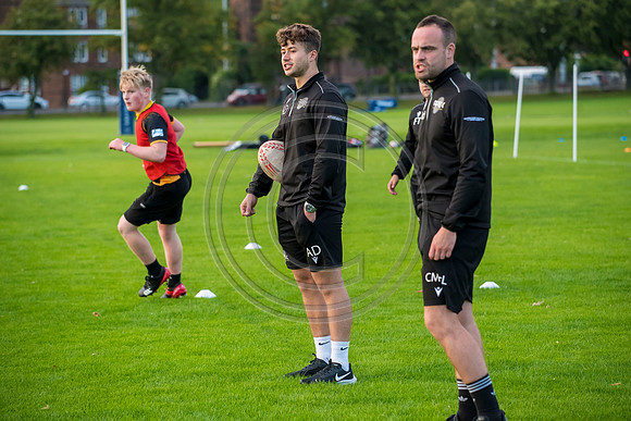 Apex Rugby Academy