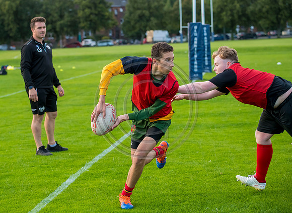 Apex Rugby Academy