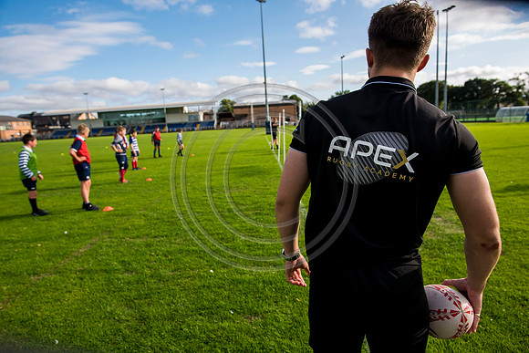 Apex Rugby Academy
