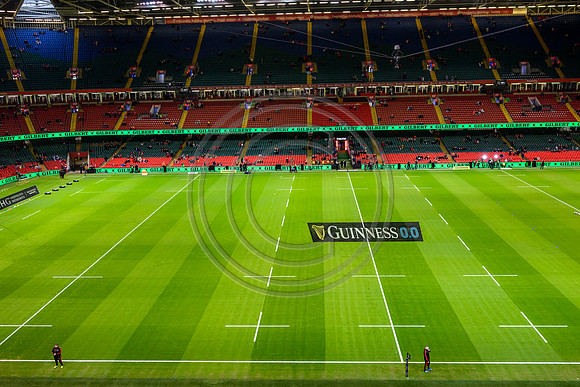 Wales v Scotland