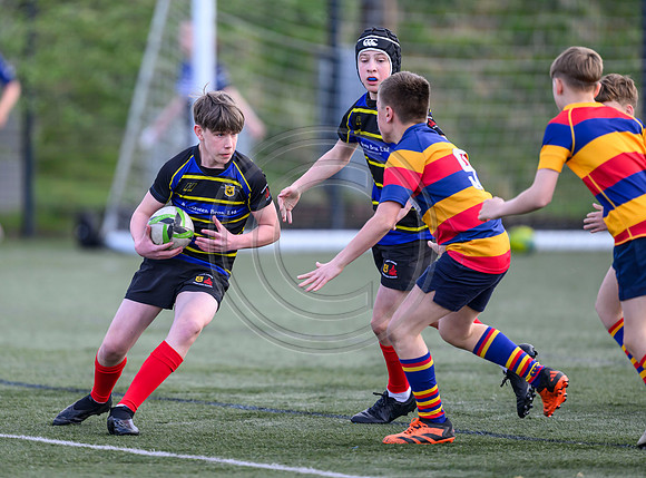 SP Energy Networks Warriors Championships Semi Final