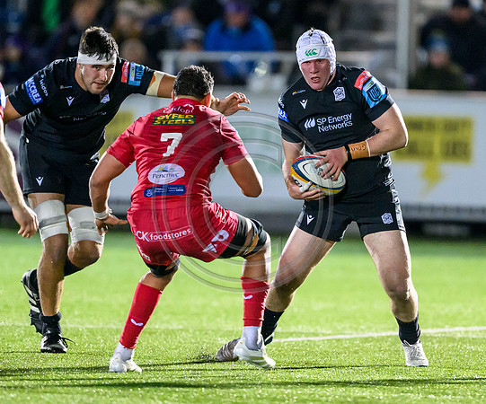 Warriors v Scarlets