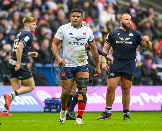 Scotland v France