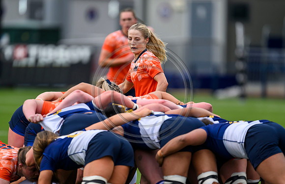 Edinburgh v Wolfhounds