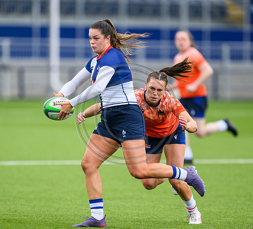 Edinburgh v Wolfhounds