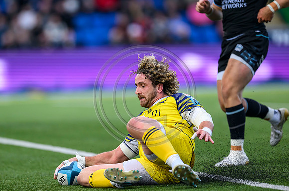 Warriors v Zebre