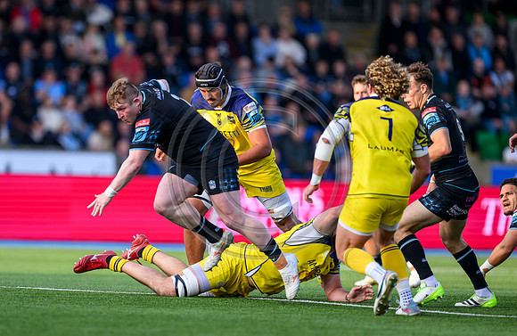 Warriors v Zebre
