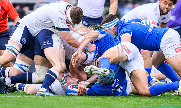 Italy v Scotland