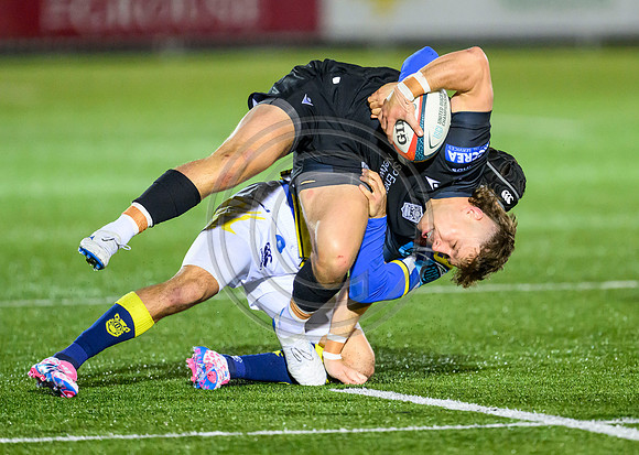 Warriors v Zebre