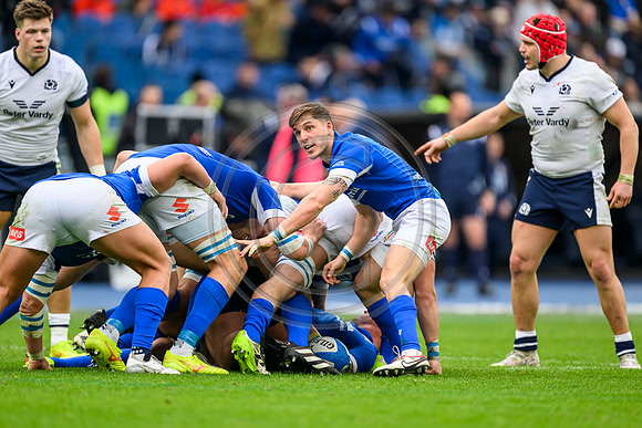 Italy v Scotland