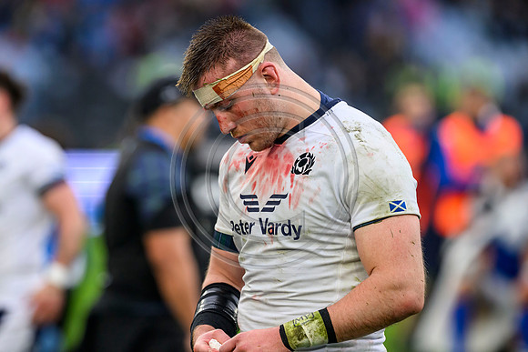 Italy v Scotland