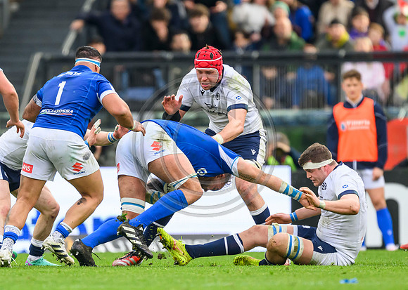 Italy v Scotland