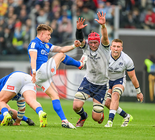 Italy v Scotland