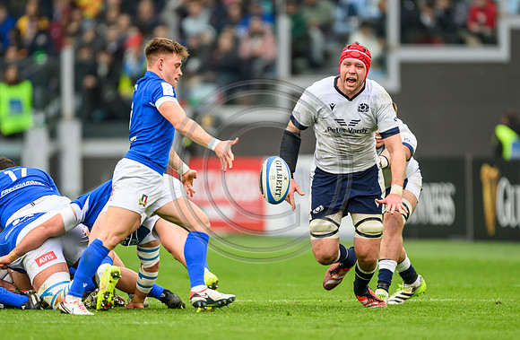 Italy v Scotland