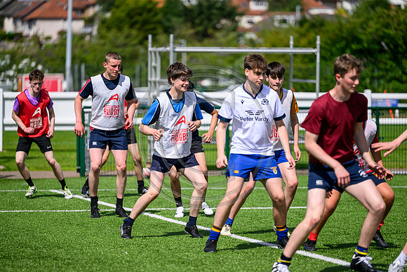 Accelerate Rugby