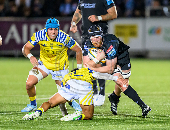 Warriors v Zebre