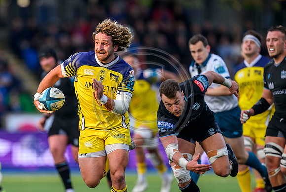 Warriors v Zebre