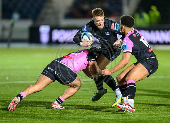 Warriors v Cardiff