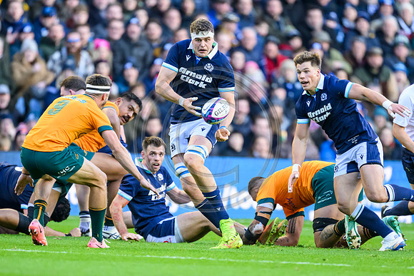 Scotland v Australia