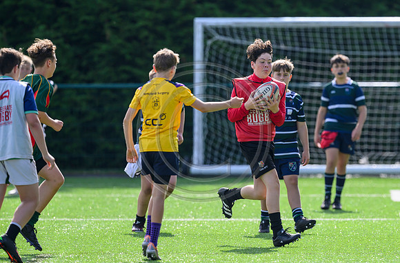 Accelerate Rugby