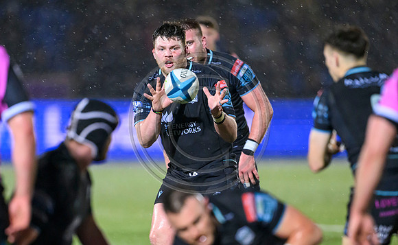 Warriors v Cardiff