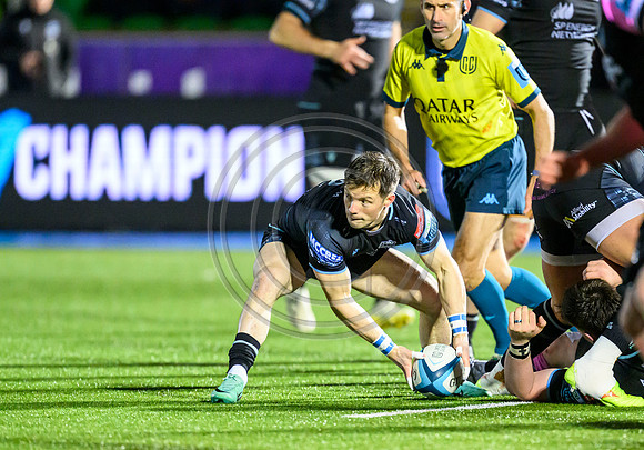 Warriors v Cardiff