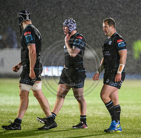 Warriors v Cardiff