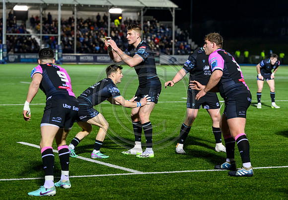 Warriors v Cardiff