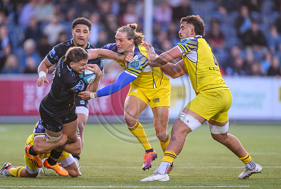 Warriors v Zebre