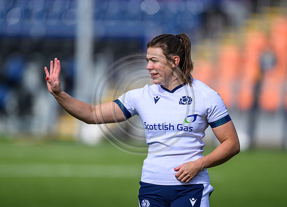 Captains Run