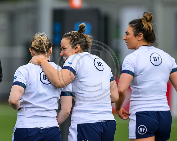 Captains Run