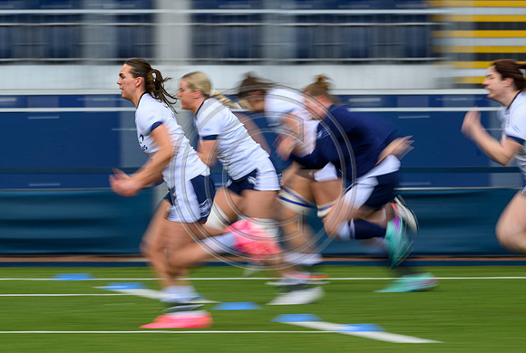 Captains Run