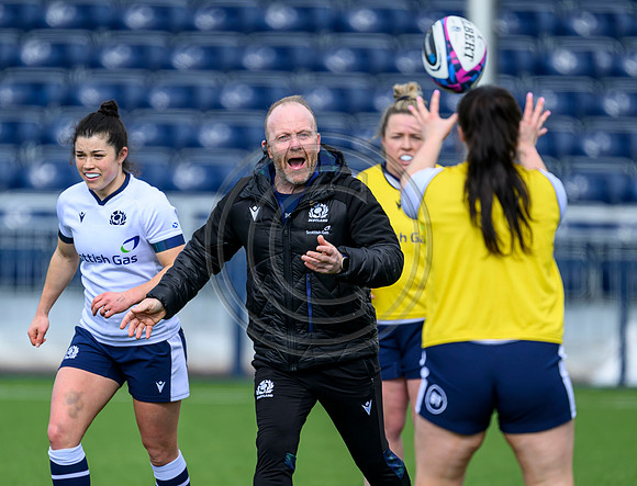 Captains Run