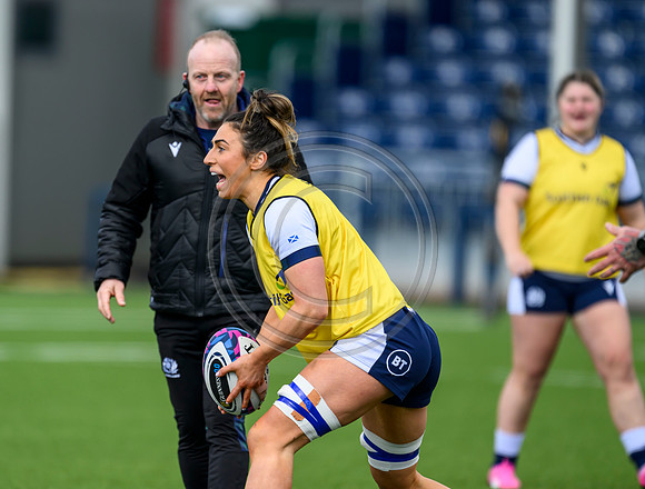 Captains Run