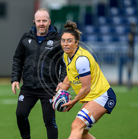Captains Run