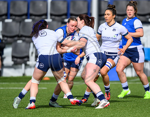 Captains Run