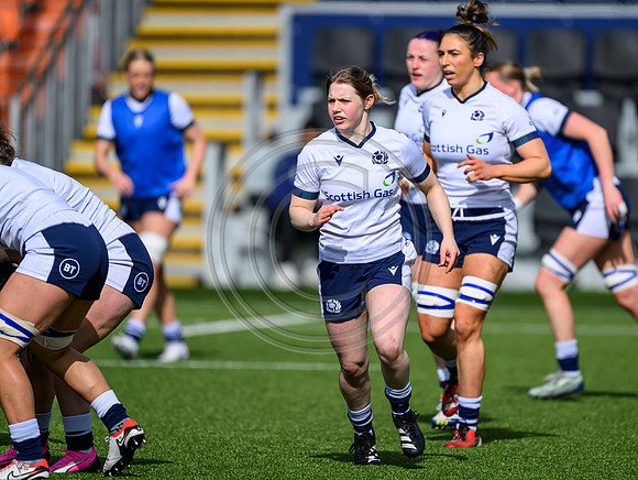 Captains Run