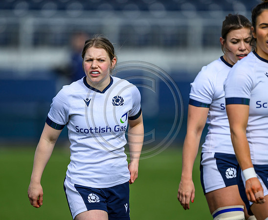 Captains Run