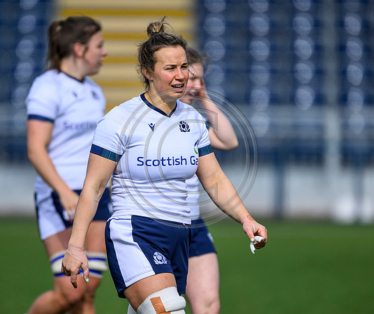 Captains Run