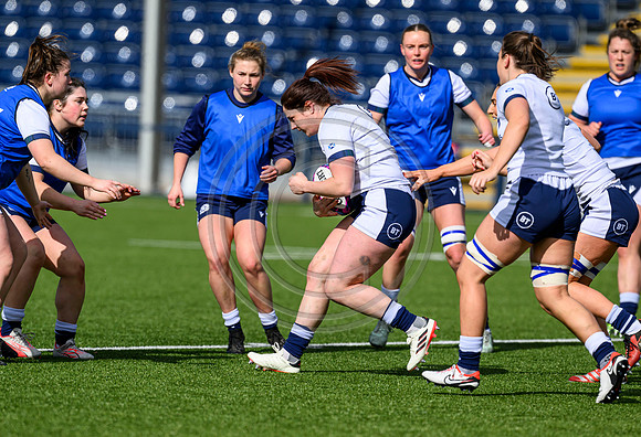 Captains Run