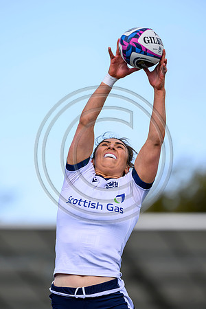 Captains Run
