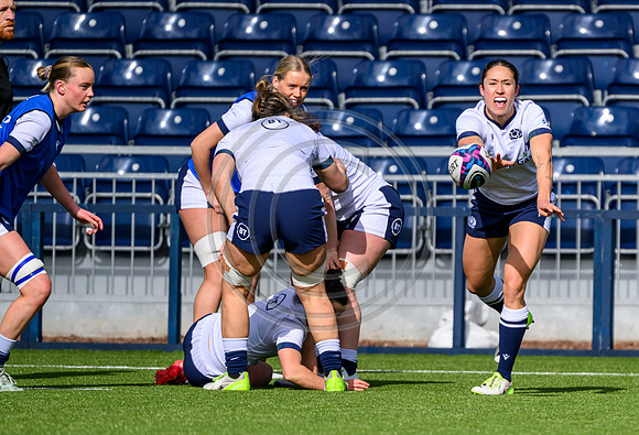 Captains Run