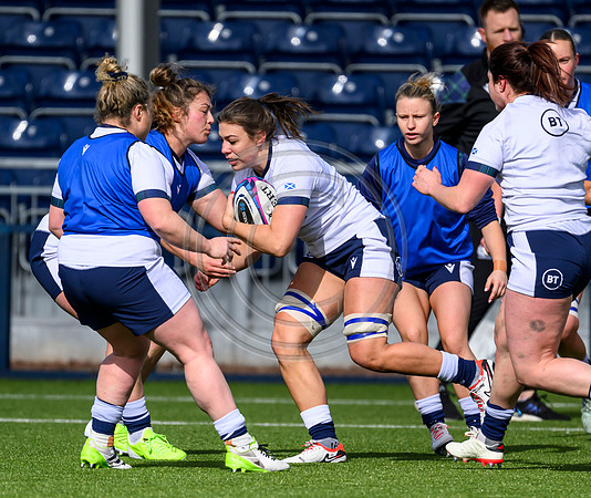 Captains Run