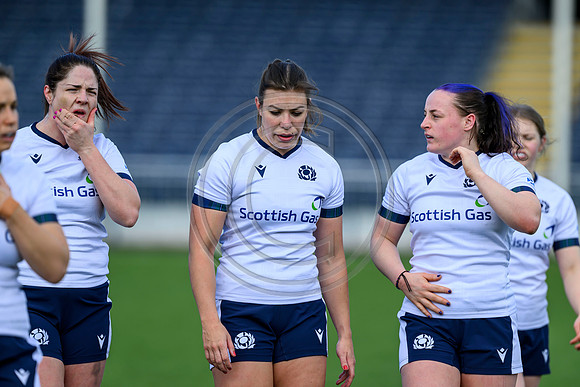 Captains Run