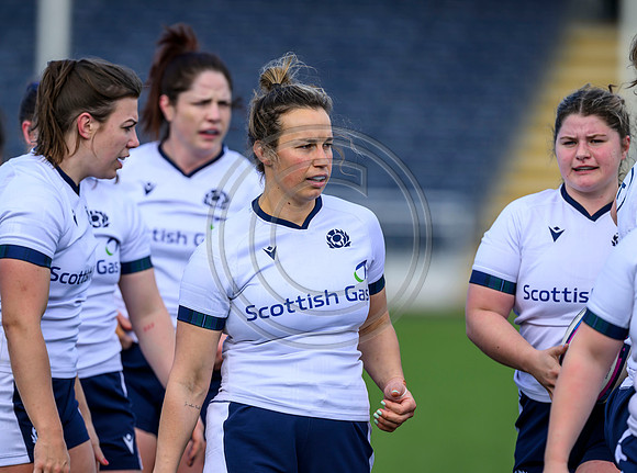 Captains Run